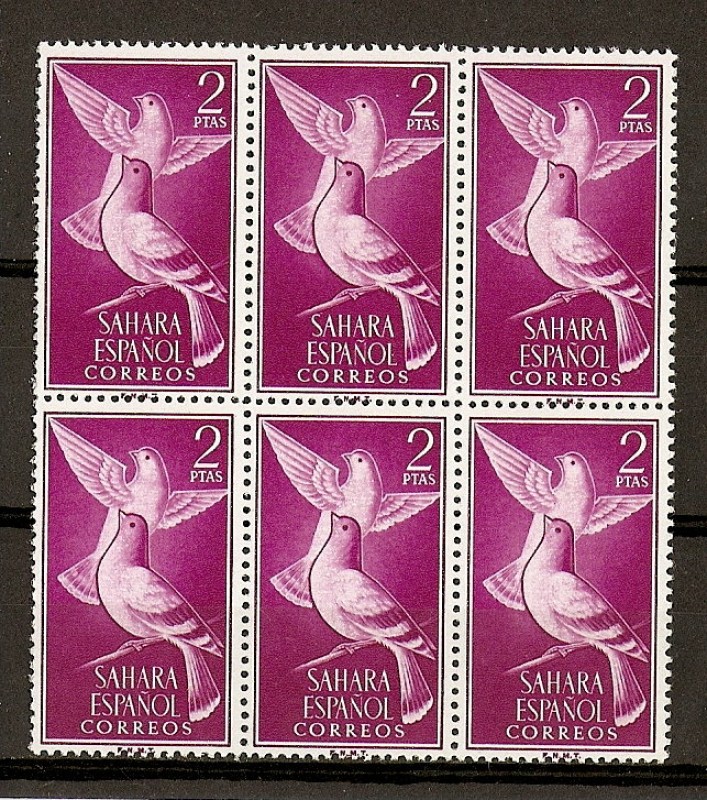 Sahara