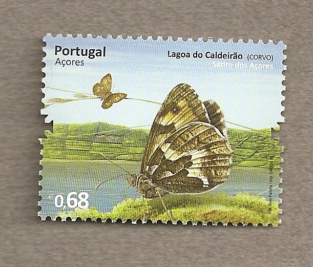 Azores, Mariposa