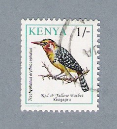 Pajarito