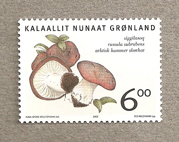 seta Russula subrubens