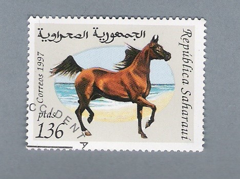 Caballo
