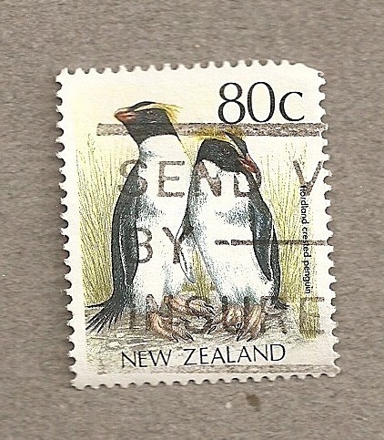 Pinguinos