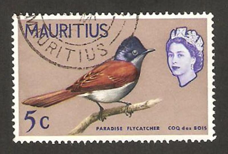 Elizabeth II, y coq des bois