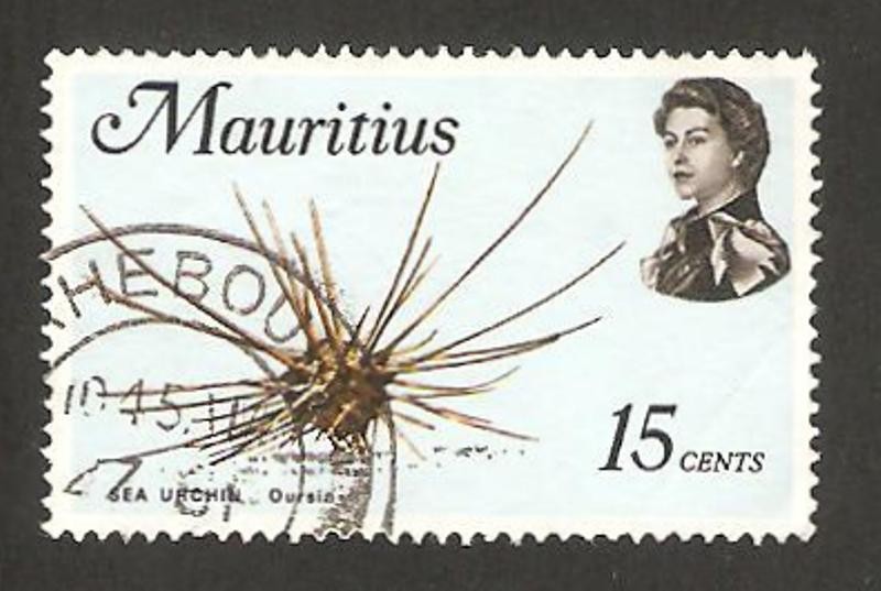 elizabeth II, fauna marina, erizo de mar