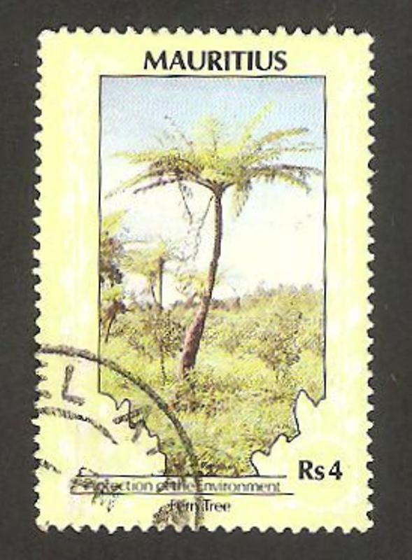 protección del medio ambiente, arbolado
