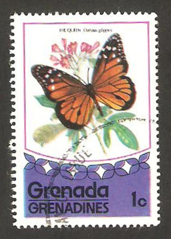 mariposa danaus gilippus