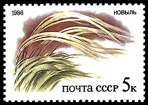 PLUMA-GRASS