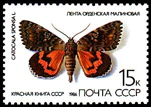 CATOLANA SPONEA