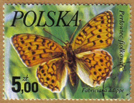MARIPOSAS