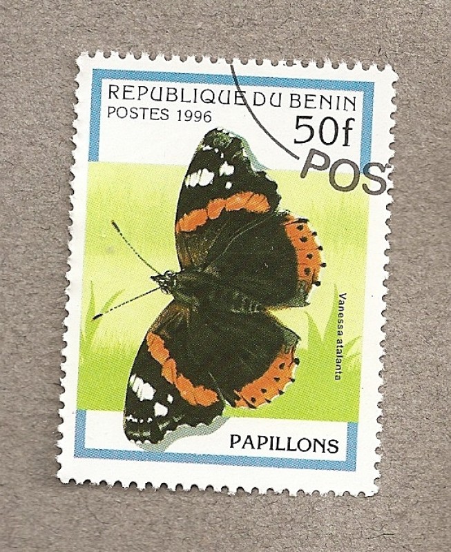 Mariposa Vanessa atalanta