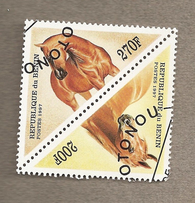Caballos