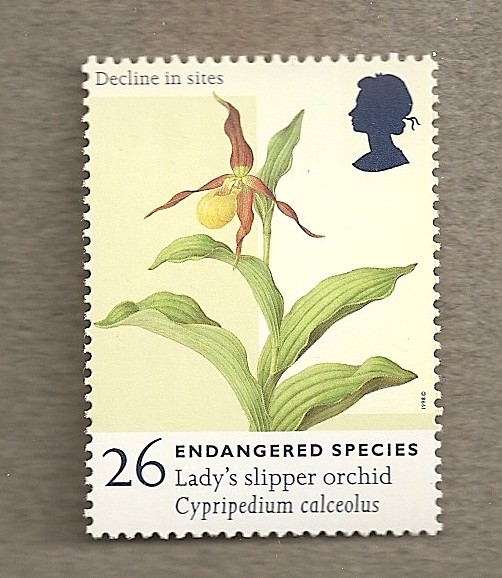 Especies en peligro de extinción
