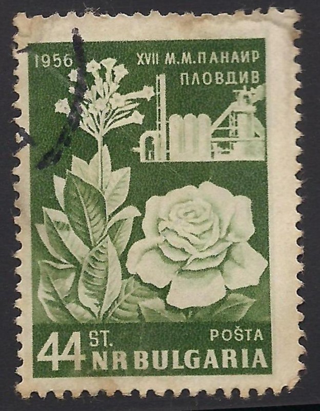 Tabaco, rosa y destileria.