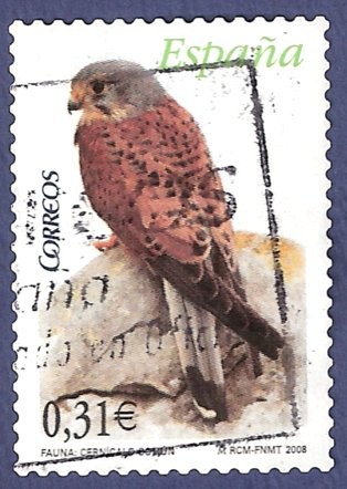 Edifil 4377 Cernícalo común 0,31