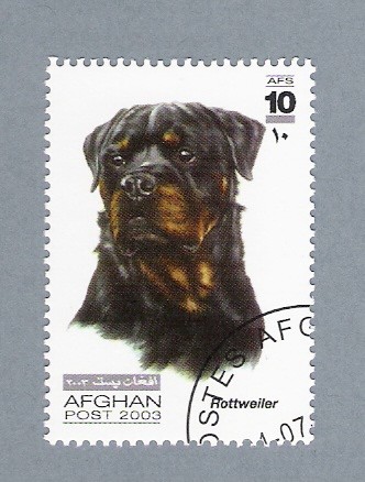 Rottweiler