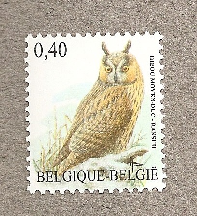 Búho