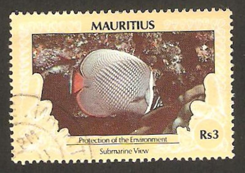 protección del medio ambiente, visión submarina