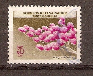 MAQUILISHUAT