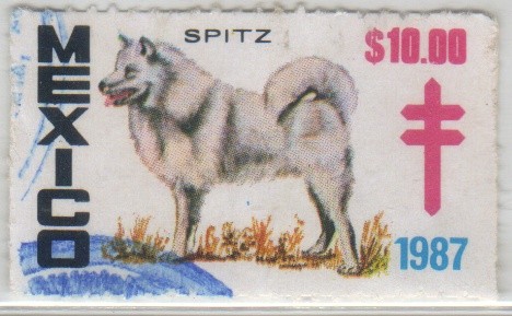 Spitz
