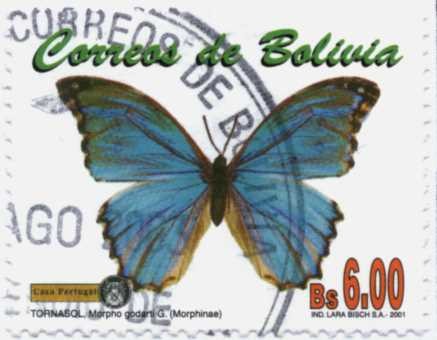Mariposas