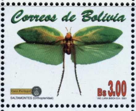 Mariposas e Insectos