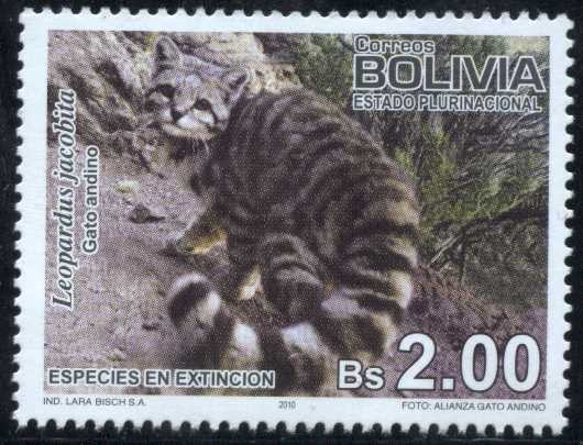 Especies en Extincion