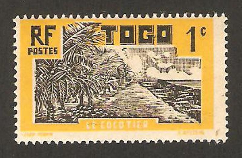 plantación de cocos
