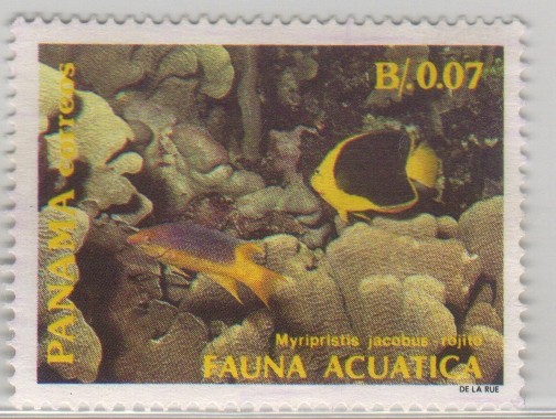 Myripristis jacobus