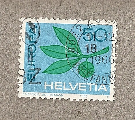 Hoja