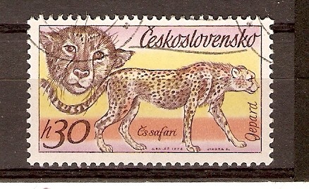 LEOPARDO