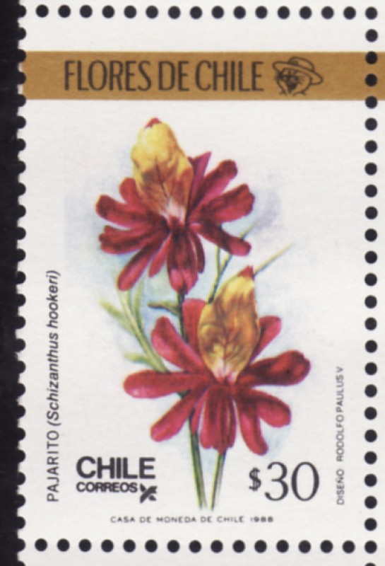 FLORES DE CHILE
