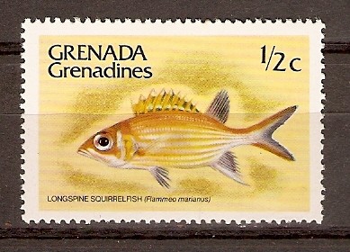 PEZ   ARDILLA