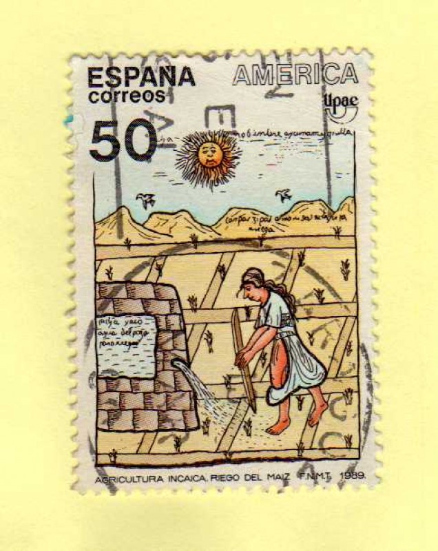 1989. Agricultura inca (riego de maiz)