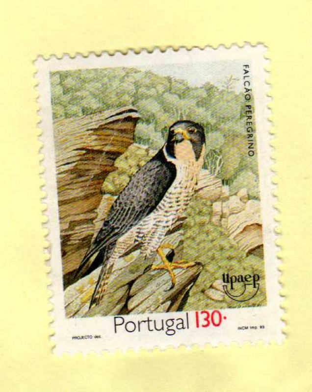 1993. Halcón Pelegrino