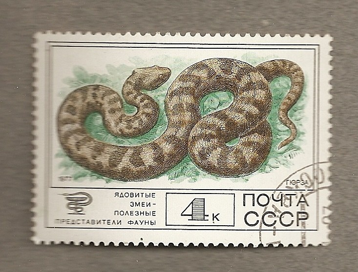 Serpiente venenosa