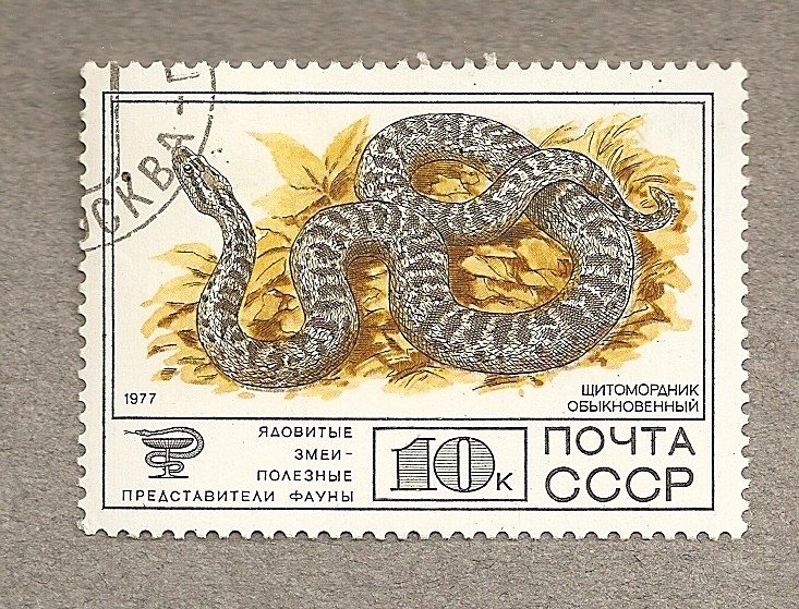 Serpiente venenosa