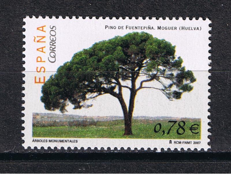 Edifil  4316  Arboles monumentales.  
