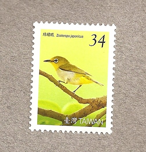 Ave Zosterops japonicus