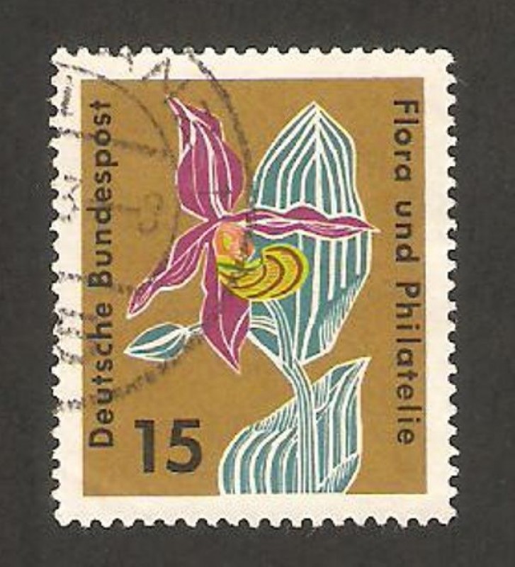 265 - flor orquídea 