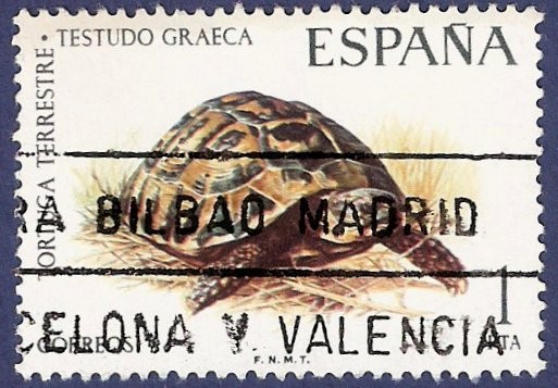 Edifil 2192 Tortuga terrestre 1