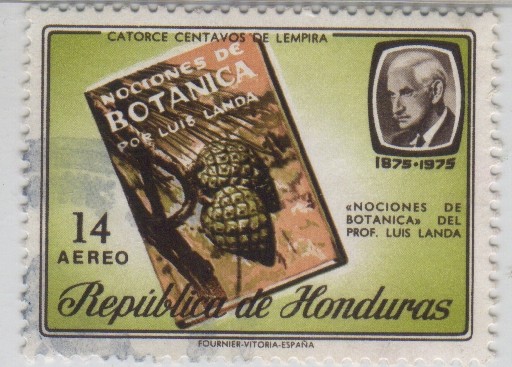 Prof. Luis Landa
