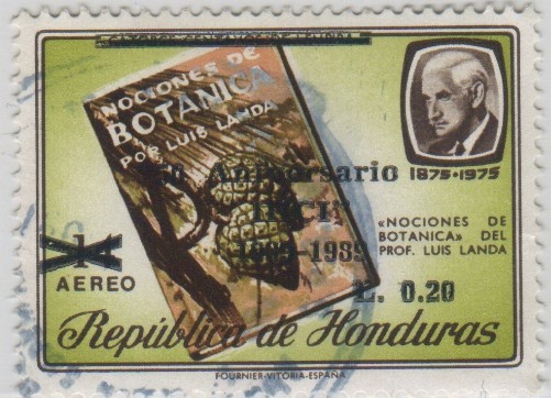 Prof. Luis Landa