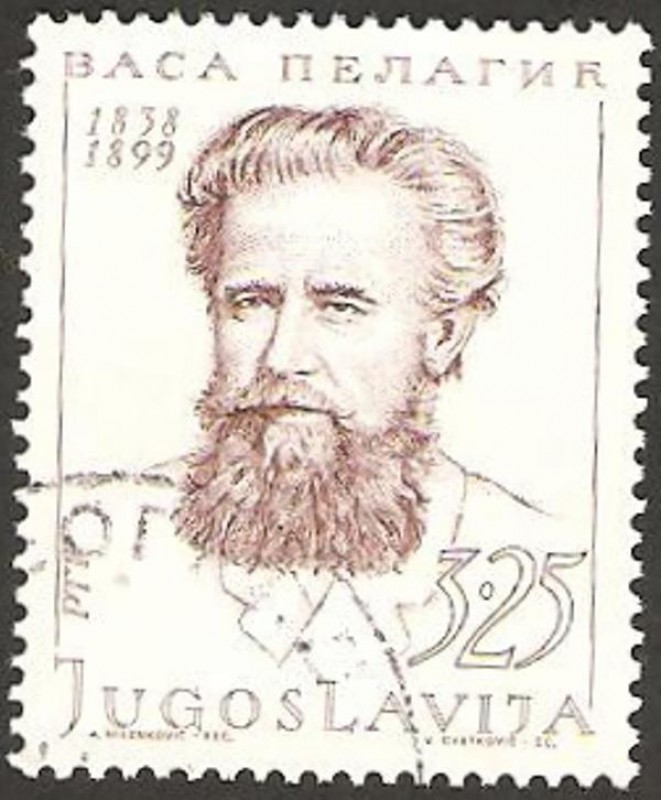 vasa pelagic 