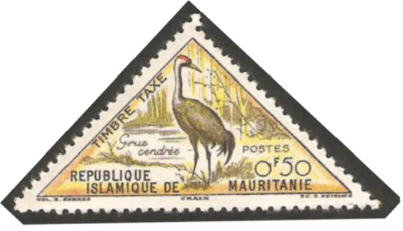 fauna, grue cendree