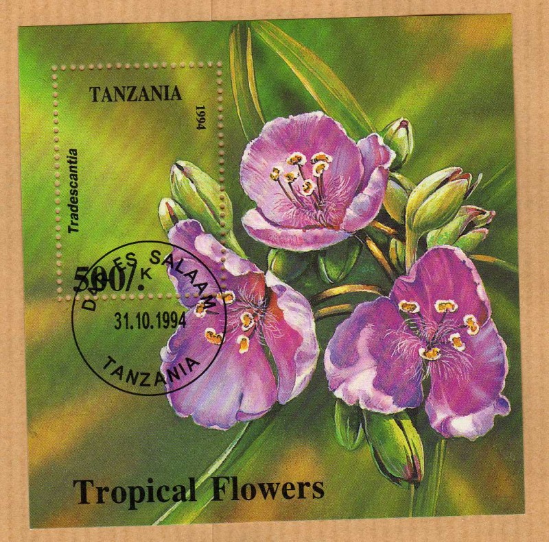 Flores Tropicales