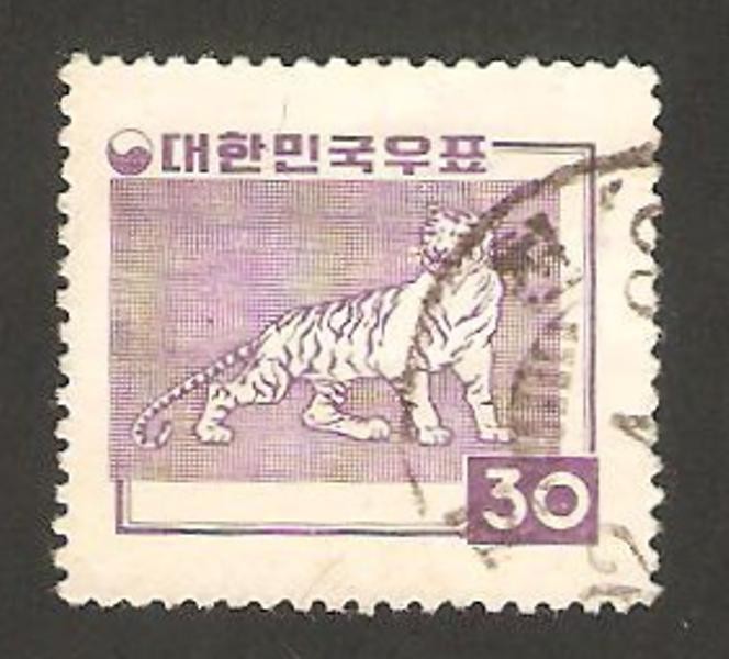 un tigre