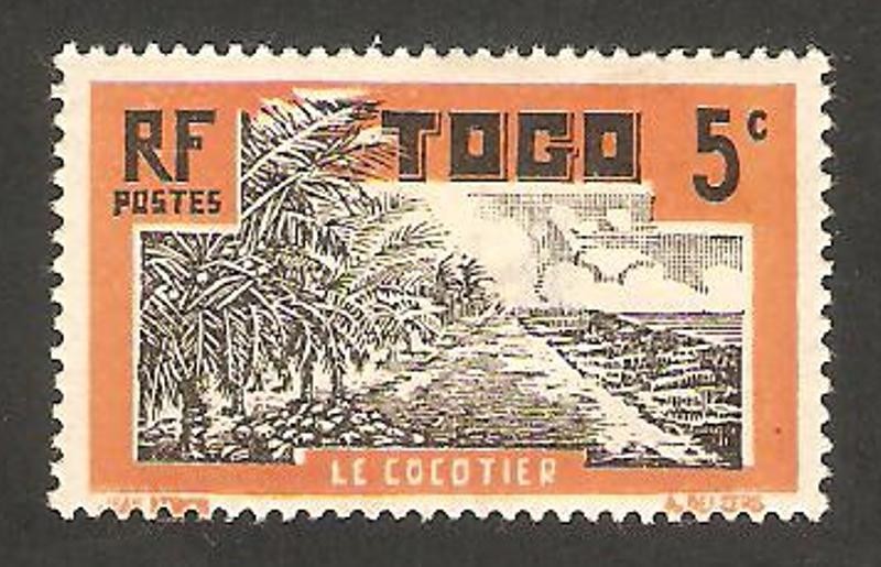 Plantación de cocos