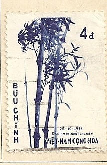 Arbusto