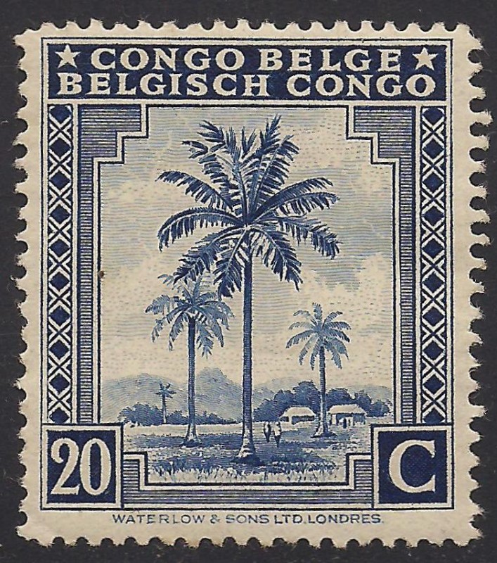 Palmeras de Aceite.