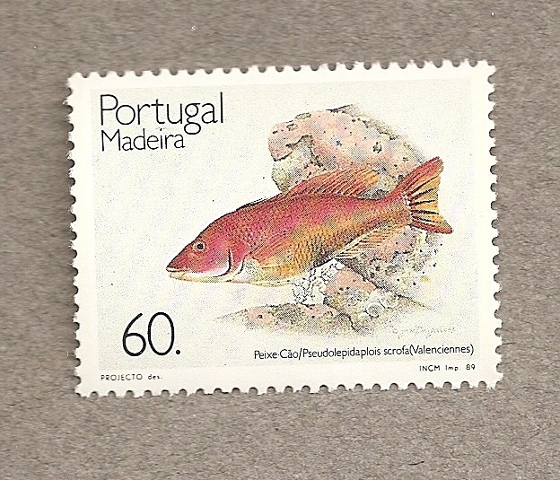 Madeira, Pez Cao